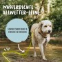 Gelbe Rudelkönig Schleppleine (10 m) aus PVC mit Hund im Freien.