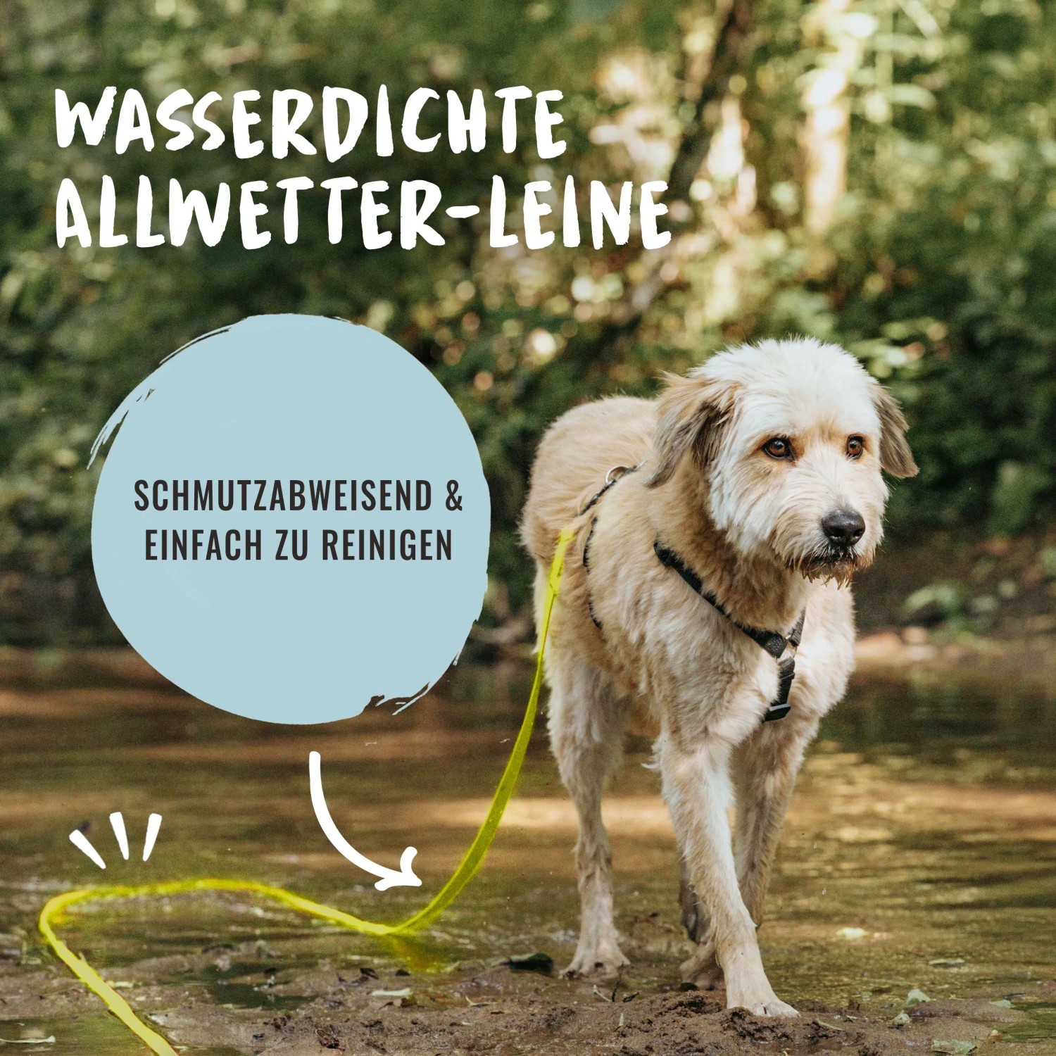 Gelbe Rudelkönig Schleppleine (10 m) aus PVC mit Hund im Freien.