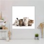 Banjado Magnettafel 50x50 cm mit Katzenmotiv, weiße Magnetwand für Notizen und Fotos.
