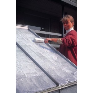 Frau trägt Juliana Schattierungspaste mit Farbroller auf Gewächshausdach auf.