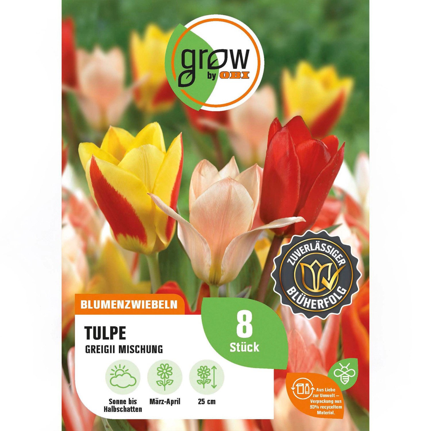 GROW by OBI Tulpen Greigii Mischung Mischung 8 Stück Tulipa greigii Mixed günstig online kaufen