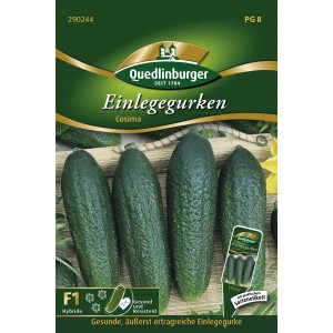 Samentüte Quedlinburger Einlegegurken 'Cosima', dunkelgrüne, feinpockige Gurken.