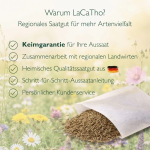 LaCaTho Löwenzahn Samen Taraxacum Officinale in Papiertüte, auf Wiese mit gelben Wildblumen. Für Garten und Natur.