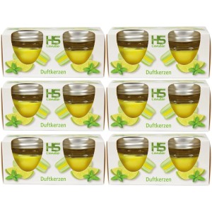 12er Pack HS Candle Duftkerze Macaron Mint & Limes im Karton.