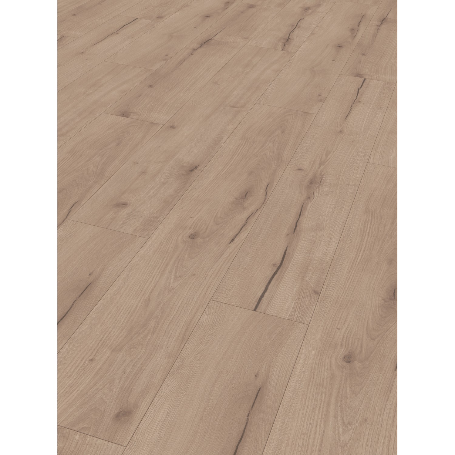 Musterstück Parador Designboden Modular One Eiche Asmara grau mit Holzstruktur.