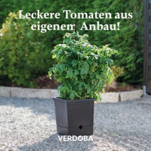 VERDOBA Tomatentopf mit Rankhilfe und reifen Tomatenpflanzen im Garten.
