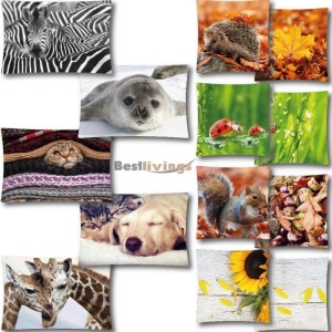 Bestlivings Kissenhülle mit Fotodruck verschiedener Motive, 40x40 cm, ohne Füllung.