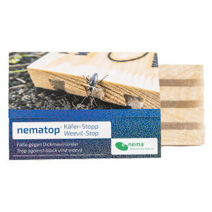 e-nema nematop Käfer-Stopp Falle gegen Dickmaulrüssler. Holzfalle mit Käfer auf Erdboden.