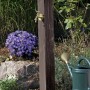 Arves Wasserzapfstelle Forest dunkelbraun im Garten mit Messing-Wasserhahn.