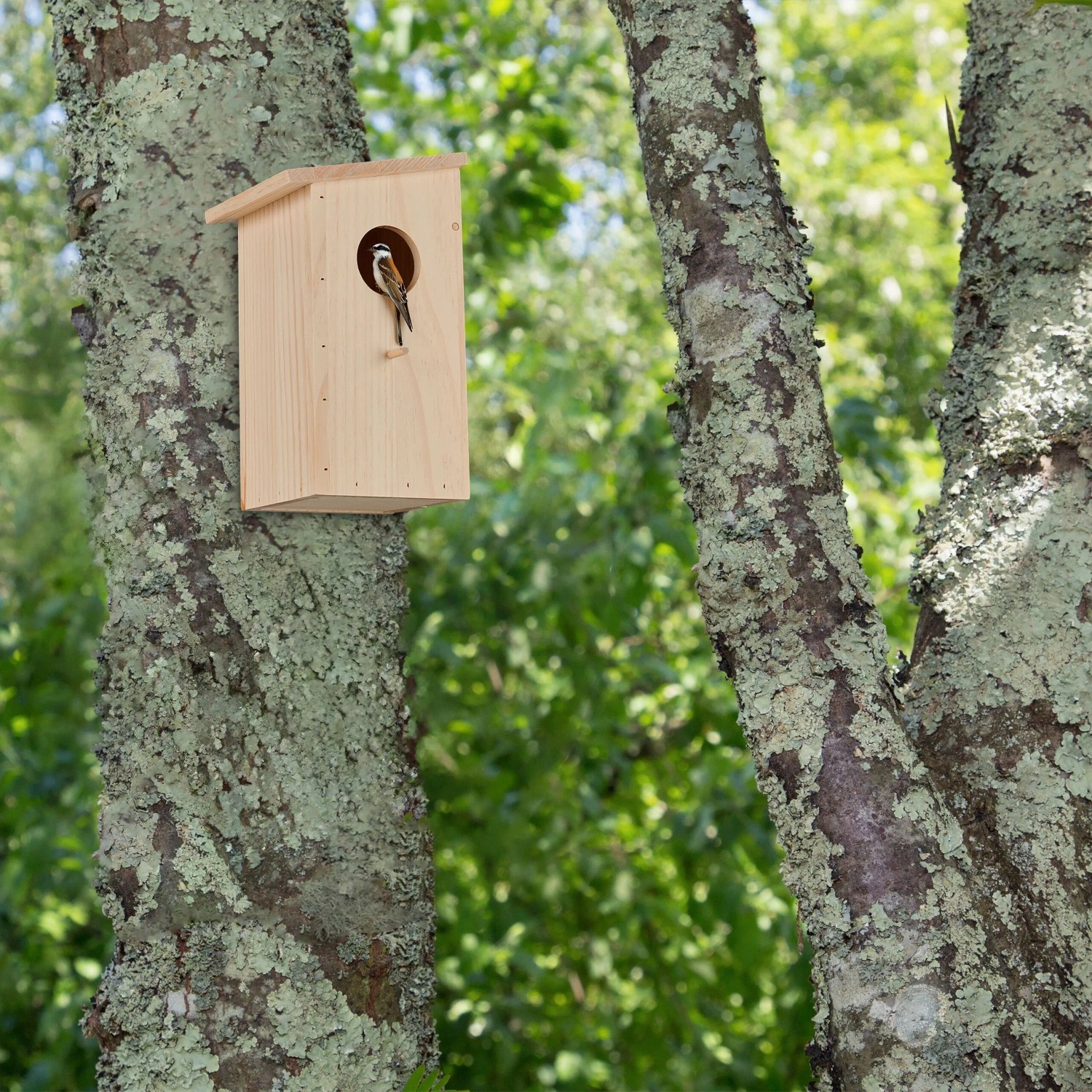 Relaxdays Nistkasten Kiefernholz Natur Aufklappbar 25,5 cm x 15 cm x 16 cm 0,7 kg_2