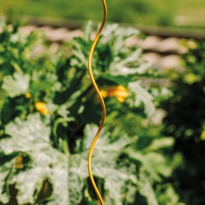 Bellissa Tomaten-Spirale Colorata, 170 cm, honigfarben, vor grünem Hintergrund.