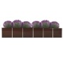 DELUKE Hochbeet Für Garten OSKAR Braun 480x80x77cm Verzinkter Stahl Hochbeet Metall Gartenbeet Kräuterbeet Blumenbeet Beet Hoch