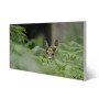 Silberne Magnettafel 78x37cm mit Reh-Motiv, ideal als Wanddekoration und Pinnwand.