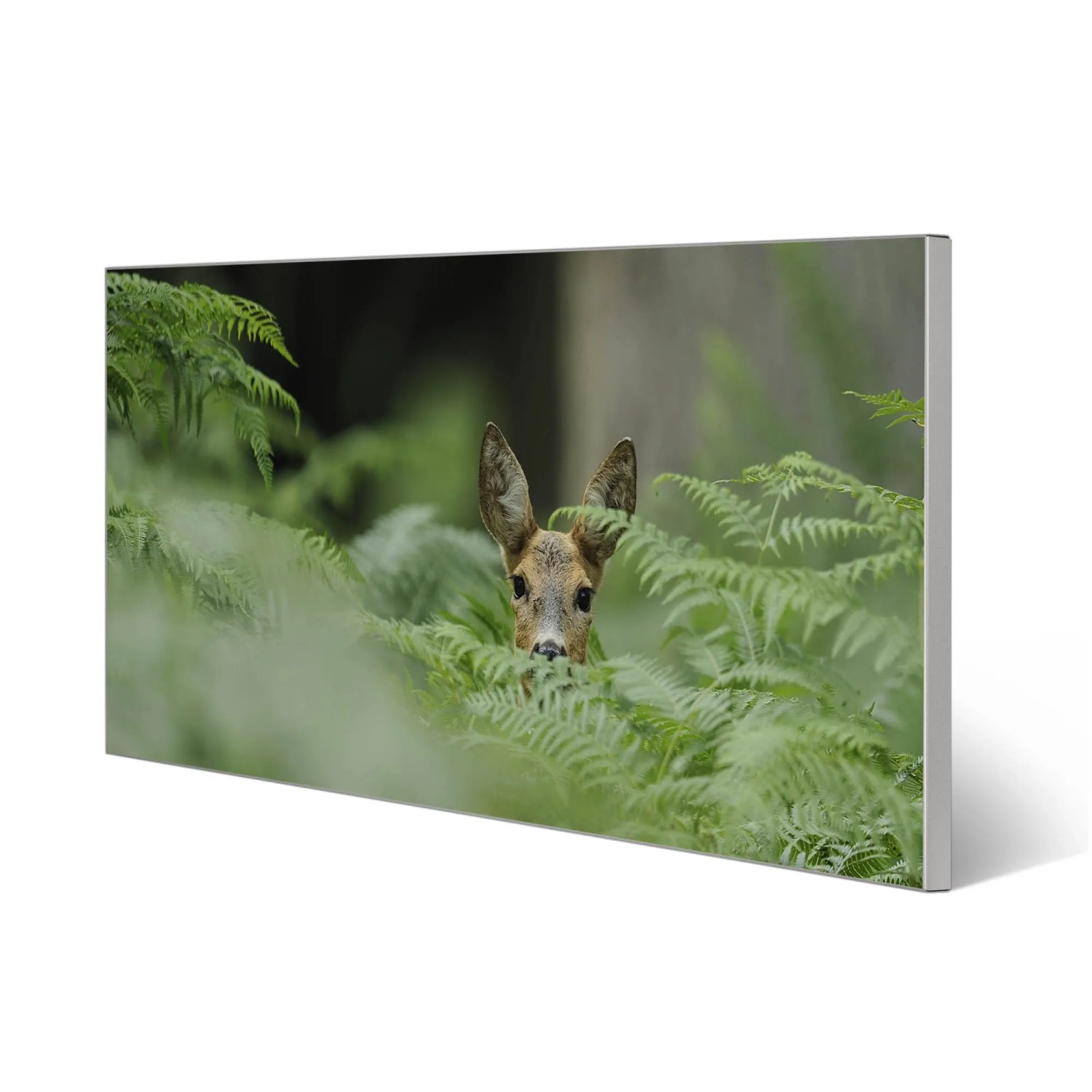 Silberne Magnettafel 78x37cm mit Reh-Motiv, ideal als Wanddekoration und Pinnwand.