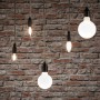 Verschiedene Paulmann E14 LED Leuchtmittel in Tropfenform vor einer Backsteinwand.