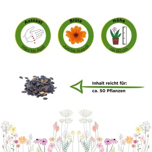Samen von Deine Gartenwelt Staudenlein Blau, Infos zu Aussaat, Blüte und Höhe.