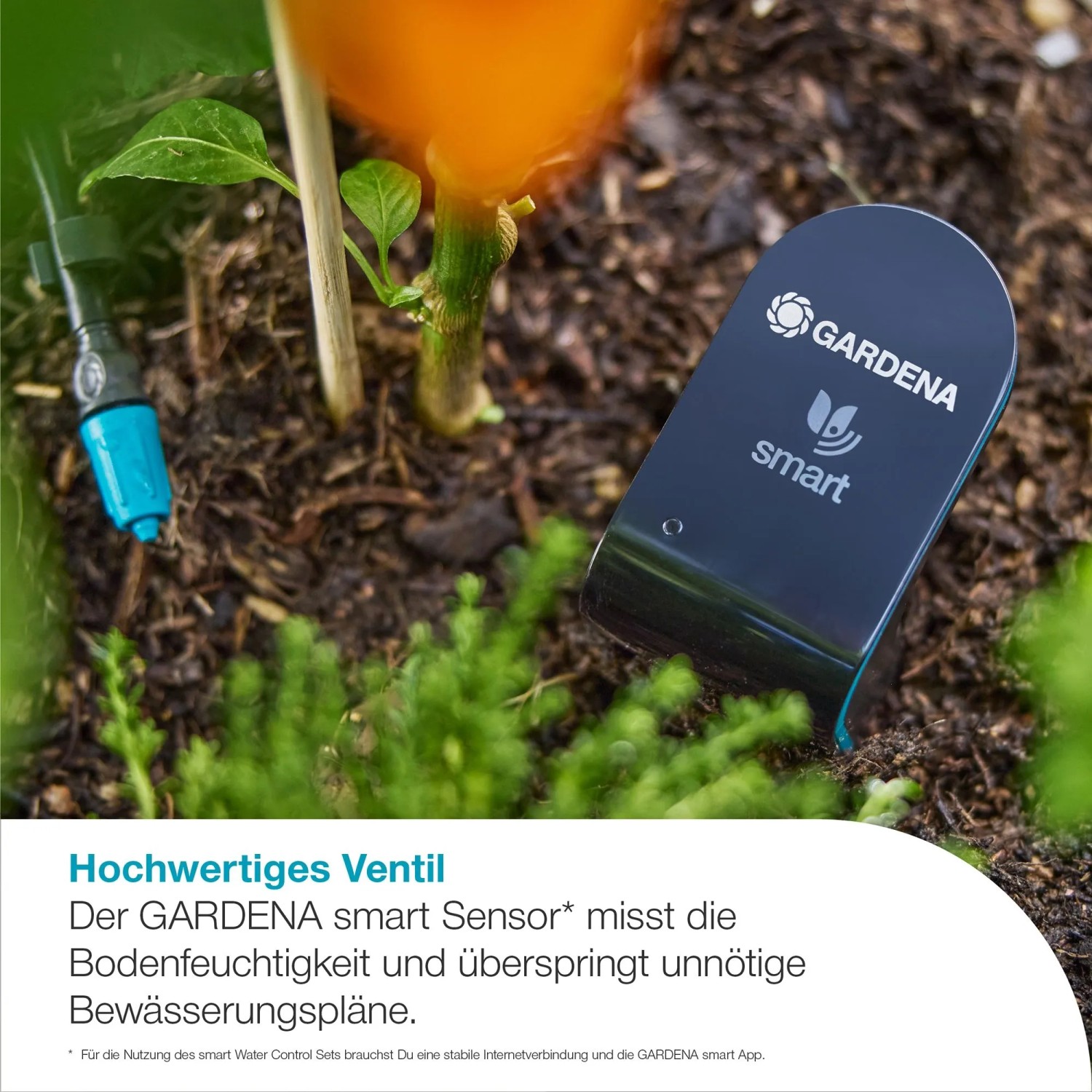 Gardena Smart Sensor im Beet zur Bodenfeuchtemessung für die Bewässerungssteuerung.