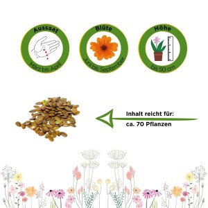 Deine Gartenwelt Lein Rot Samen: Packung mit Samen und Infos zu Aussaat, Blüte und Höhe.
