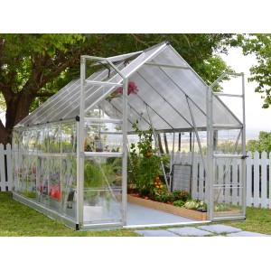 Palram Canopia Balance Gewächshaus 3.7x2.4m, silberner Rahmen, klare Wände, Pflanzen im Inneren.