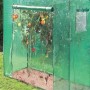 Westfalia Tomaten-GewÄChshaus GroSS 200 X 77 X 170 cm Kunststoff