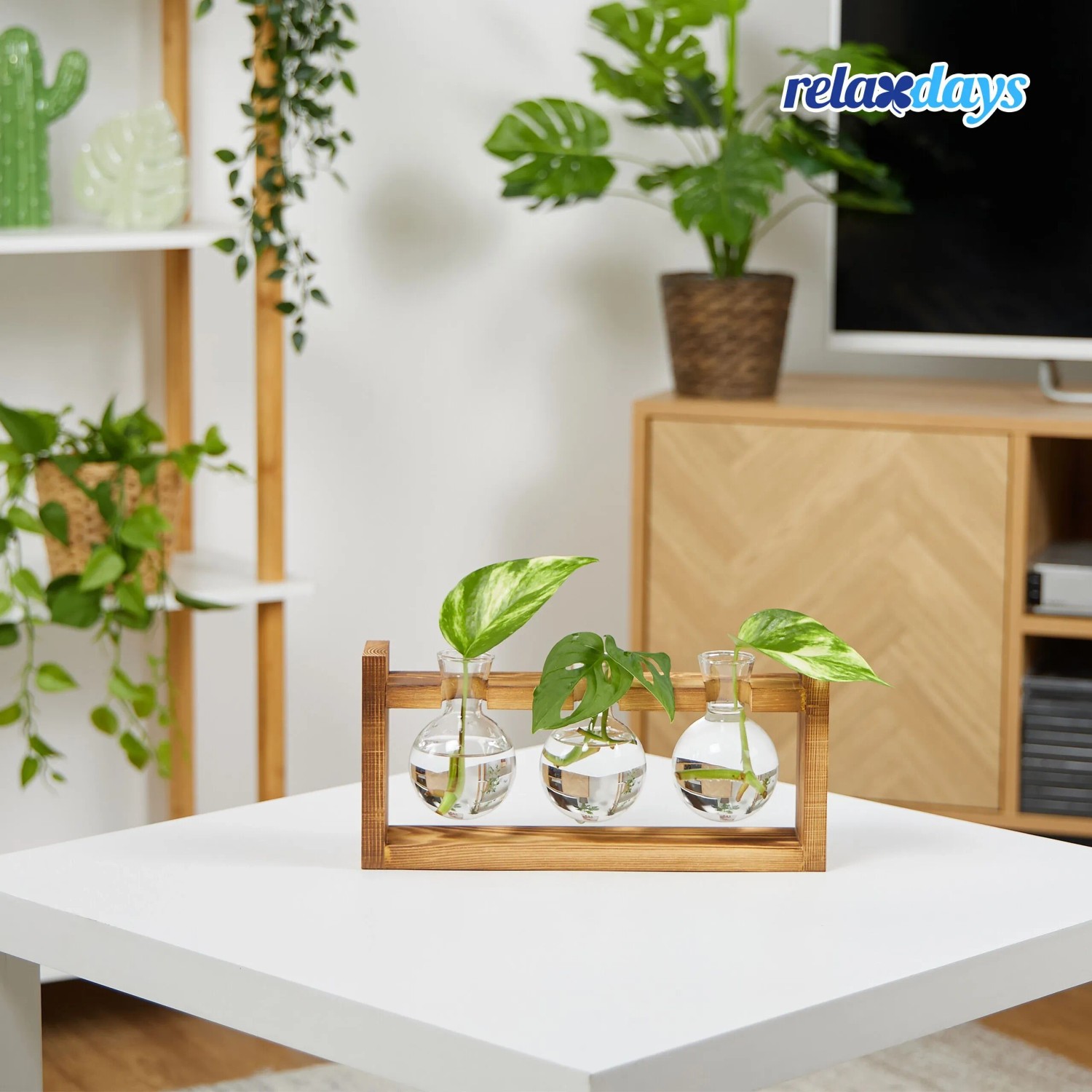 Relaxdays Reagenzglas Vase Glas Kiefernholz Natur Transparent mit Ständer 13 cm x 28 cm x 6,5 cm_2