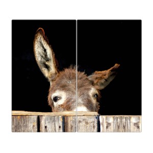 Banjado 2-teilige Herdabdeckplatte aus Glas mit Esel-Motiv, je 30x52 cm.