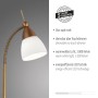 Paul Neuhaus LED-Tischleuchte Pino in Altmessing mit Opalglas. Schreibtischlampe mit Touchdimmer.