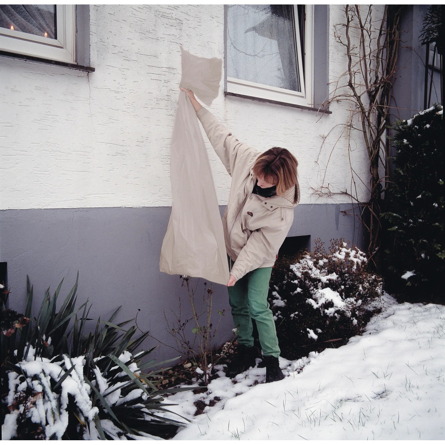 Frau bringt Rosenhaube (3er-Set) zum Schutz vor Schnee an Rose an. Folie und Vlies.