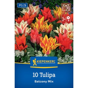 Kiepenkerl Blumenzwiebel Greigii-Tulpe Balkonzauber Mix 10 Stück. Bunte Tulpen für Balkon & Kübel.