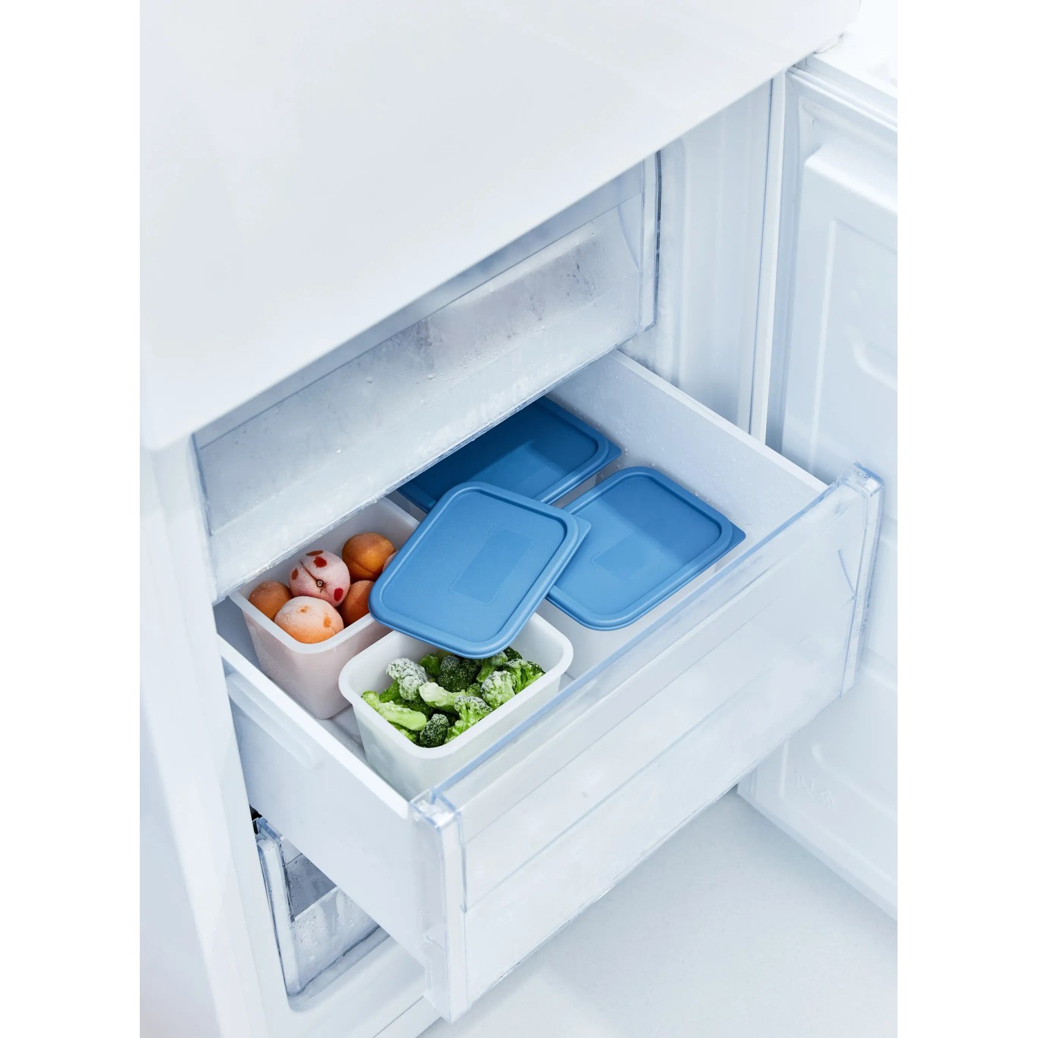 Rotho Domino Gefrierdosen-Set, 4-teilig, horizontblau, im Gefrierschrank mit Lebensmitteln.