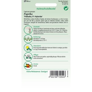 SAMEN PFANN Paprika Palladio F1