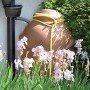Terracottafarbene Waterform Regentonne Aquacan 210 l mit Bepflanzung und gelbem Schlauch im Garten.