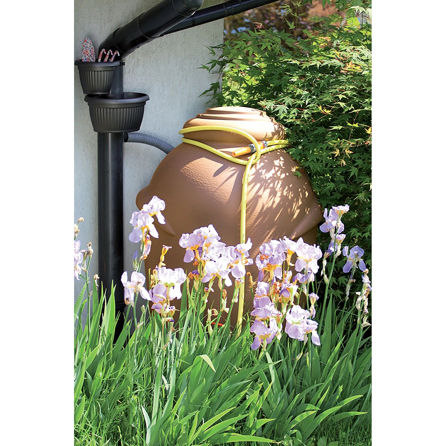 Terracottafarbene Waterform Regentonne Aquacan 210 l mit Bepflanzung und gelbem Schlauch im Garten.