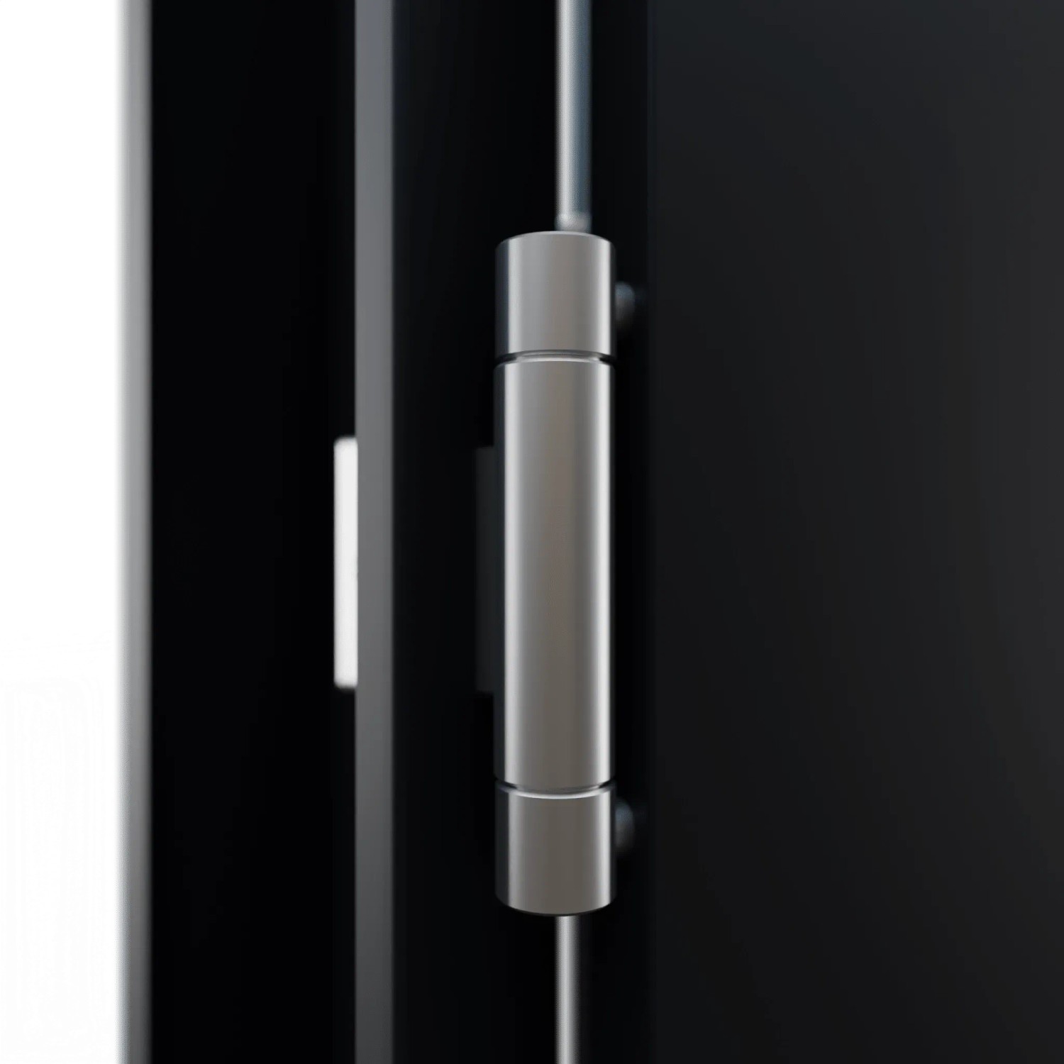 Detailansicht: Anthrazitfarbene FM Türen NBT56 Nebeneingangstür mit silberfarbenem Türband.