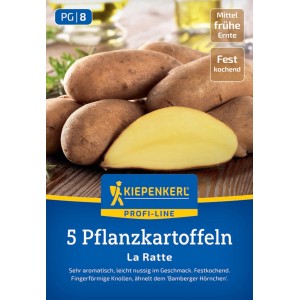 Kiepenkerl Pflanzkartoffel Ratte, 5 St