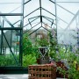 Offenes, grünes Halls Gewächshaus Popular 86 mit Pflanzen, Tomaten und Körben im Inneren.