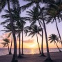 Komar Vlies Fototapete: Palmen am Strand bei Sonnenuntergang. Urlaubsfeeling für Zuhause.