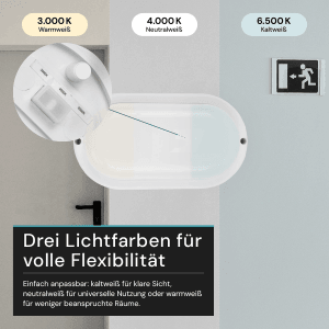 LUXULA Feuchtraumleuchte IP65 CCT 3000K-6500K Warm- Kaltweiß Ovalleuchte 12W Kellerlampe 1080lm Garagenleuchte Außenleuchte Weiß