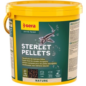 Sera Teichfutter Stör Pellets Nature im 2 kg Eimer, Hauptfutter für Störe.