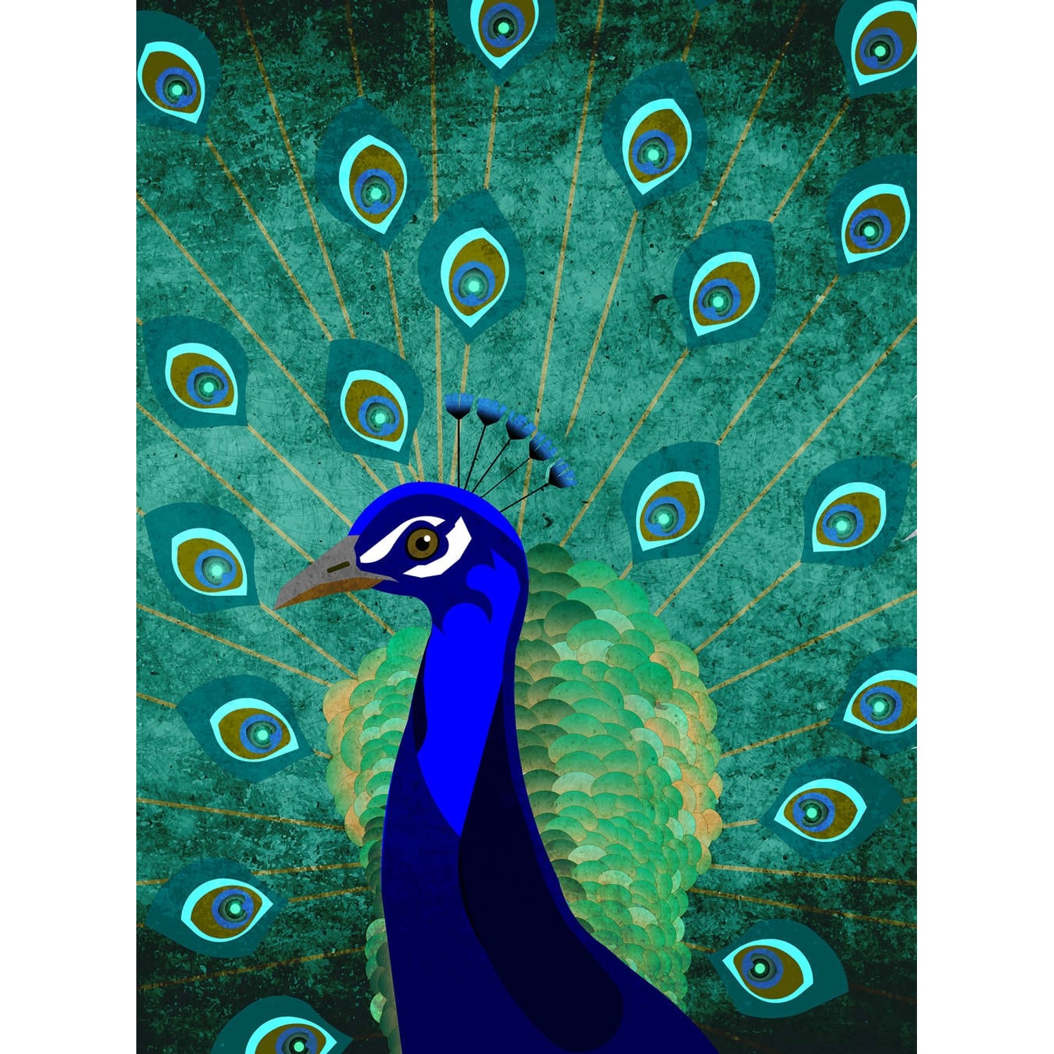 Fototapete Portrait Pfau Grün Blau Braun 2,00 m x 2,70 m FSC® günstig online kaufen