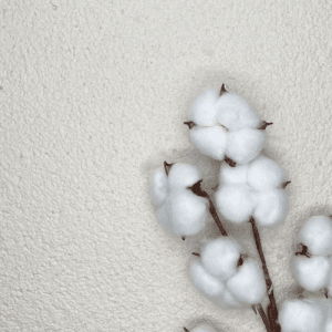 Floxxan Baumwollputz Colorado 159 Off White mit Baumwollzweig, Strukturmuster der Flüssigtapete.