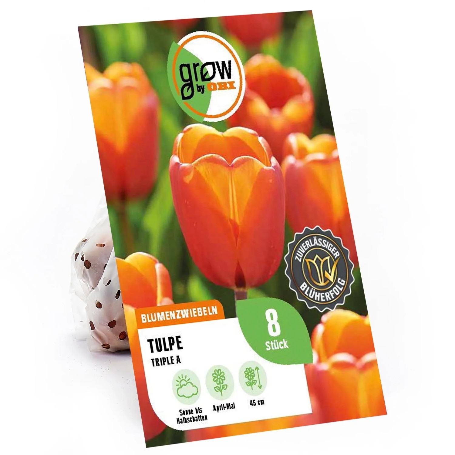 GROW By OBI Tulpen Triple A Orange 8 Stück