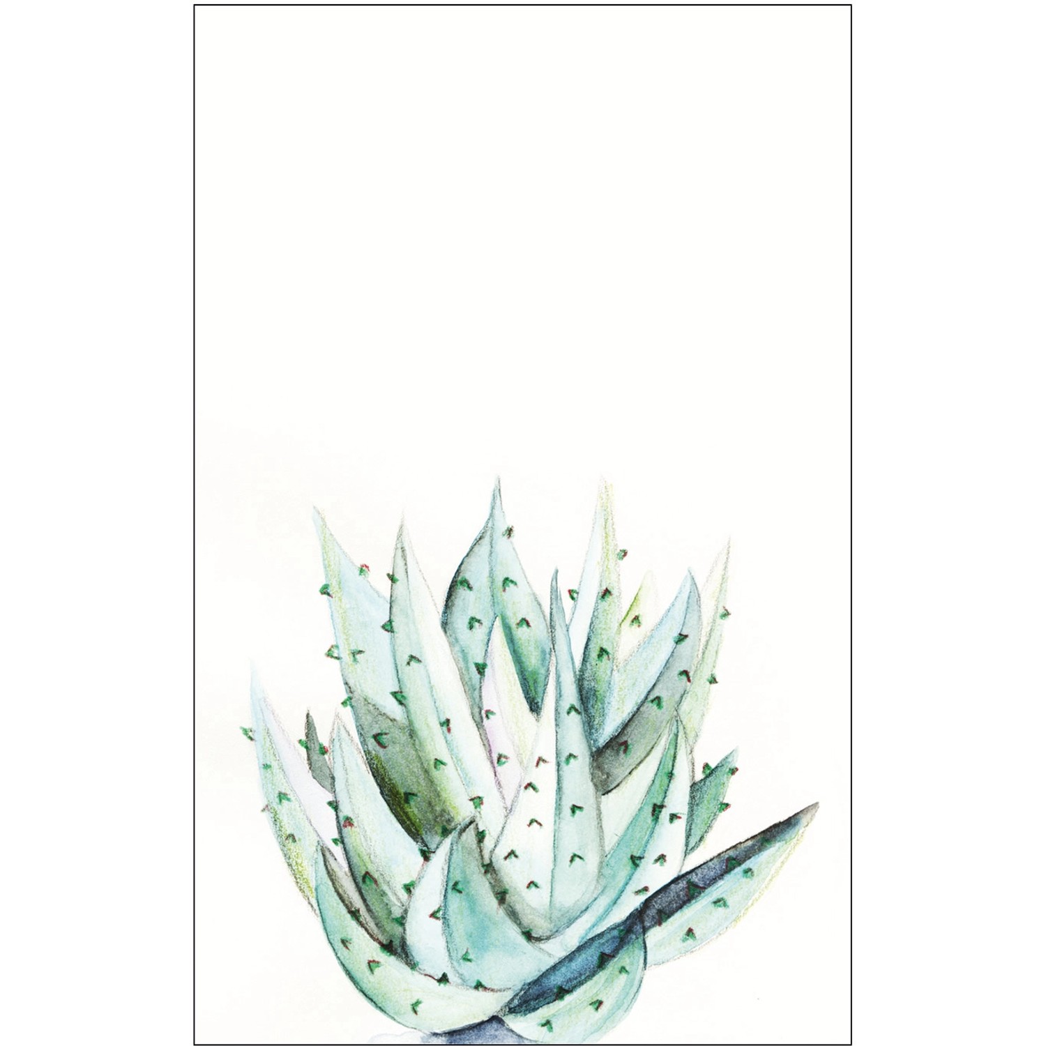 Komar Wandbild Aloe Watercolor 50 x 70 cm