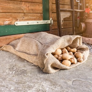 Jutesack gefüllt mit Kartoffeln, Zubehör für Hochbeete, 40x60cm, 3 Stück