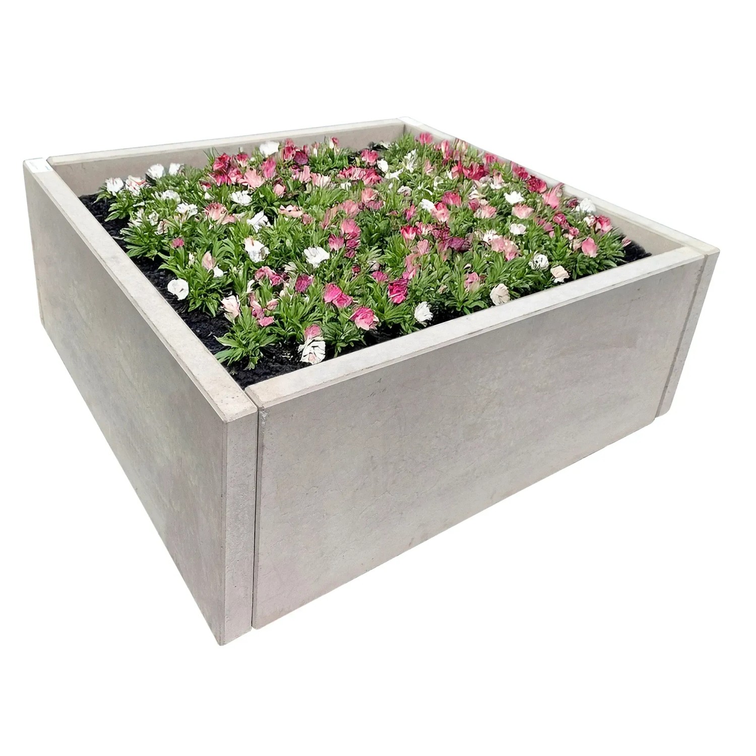 Diephaus L-Stein Ecke aus Sichtbeton, 60x100x35x5 cm, grau, bepflanzt mit Blumen.