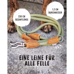 Verstellbare, grüne Rudelkönig Hundeleine Emma aus Kletterseil mit Lederdetails, 230 cm lang.