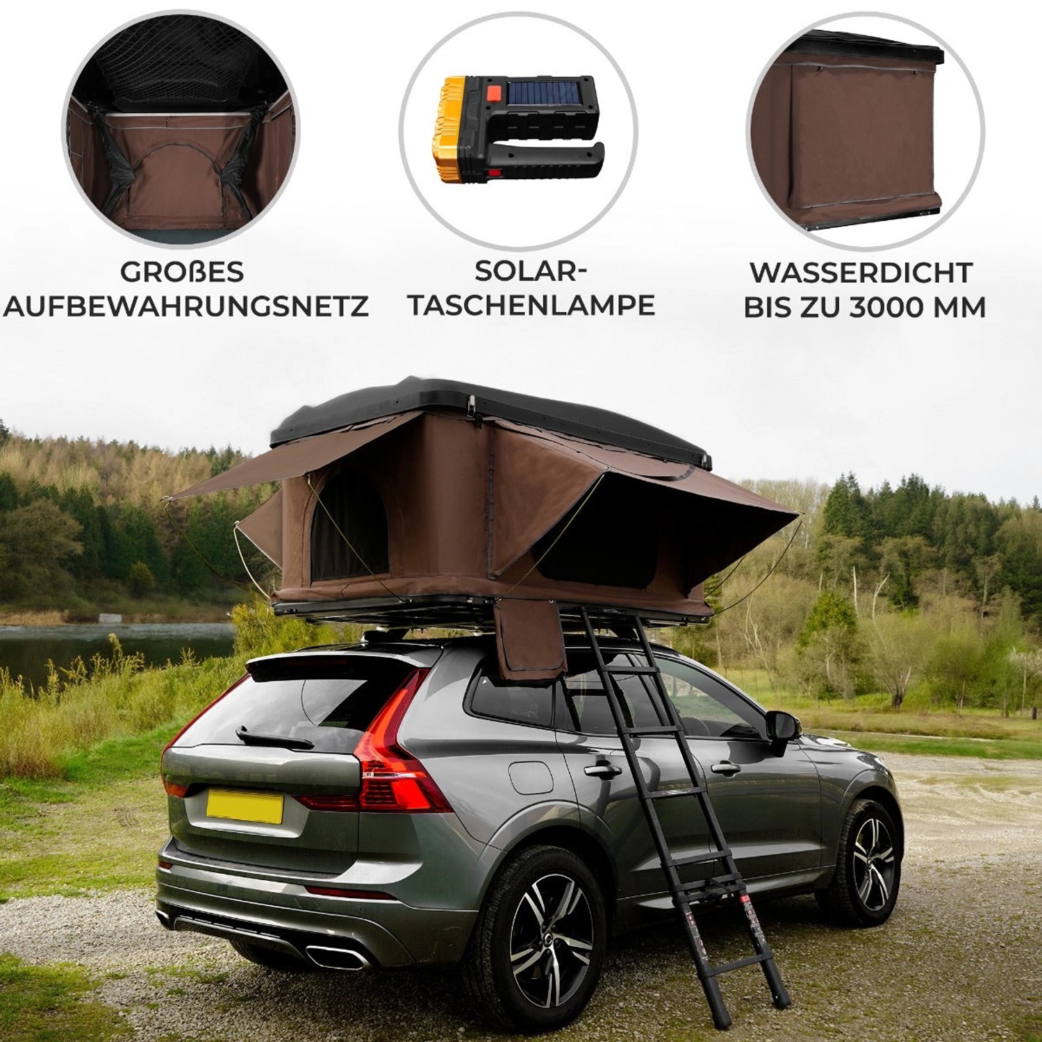 Braunes Monstershop Auto Dachzelt auf grauem PKW mit Leiter. Camping & Zubehör.