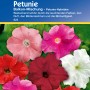 Kiepenkerl Petunien "Balkon-Mischung" Blumensamen mit Blüten in rot, rosa, pink und weiß.