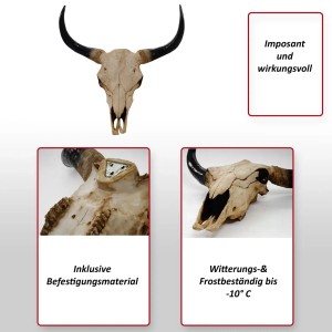 Deko Schädel Longhorn Natur: Detailreicher, naturgetreuer Deko-Schädel als Wanddeko.