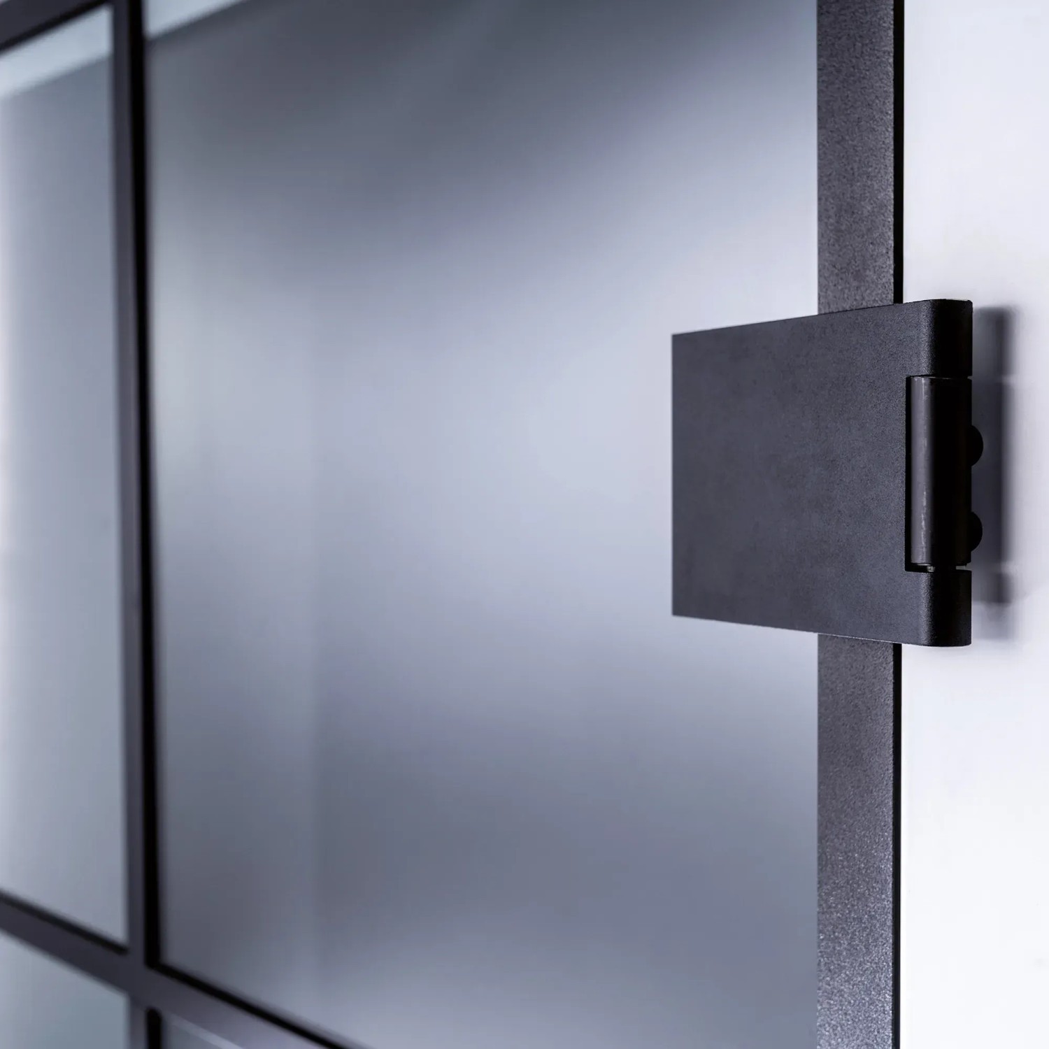 Detailaufnahme: Skyscope Portal Drehtür-Set Slimwork mit schwarzem Beschlag und Klarglas.